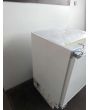 Borshch FSE163OU/OG Integrated Freezer