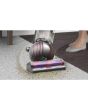 Dyson BALLANIMALNEW Ball Animal Upright Vacuum Cleaner